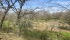 IMG_4328 (FILEminimizer).jpeg
